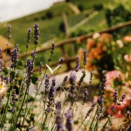 Tinella - Piemonte's Vineyard Escape Calosso