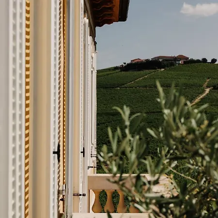Villa Tinella - Piemonte's Vineyard Escape