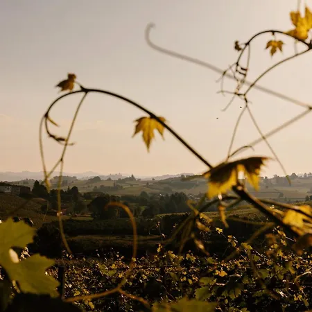 Tinella - Piemonte's Vineyard Escape