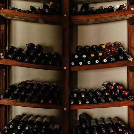 Villa Tinella - Piemonte's Vineyard Escape Calosso